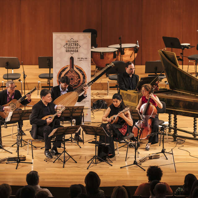 Il Viaggio Musicale - Ensemble Artemandolie