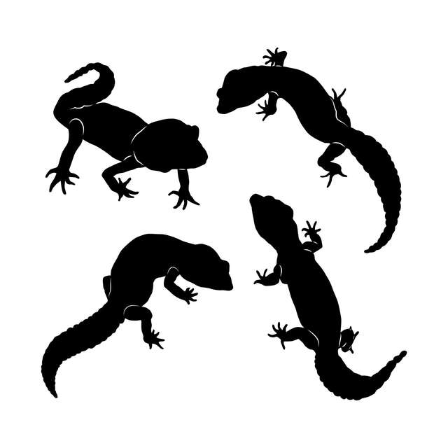 Détective nature : la disparition des salamandres