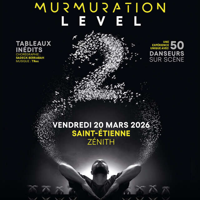 Murmuration level 2