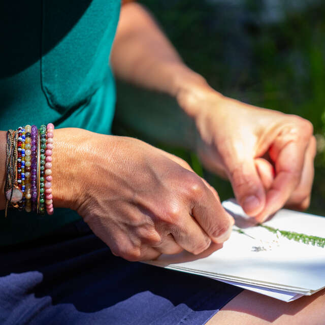 Zen Agritude : Cueillette autour des jardins et réalisation d'un herbier