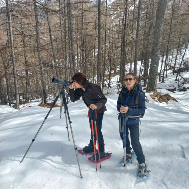 En raquettes à la Médille