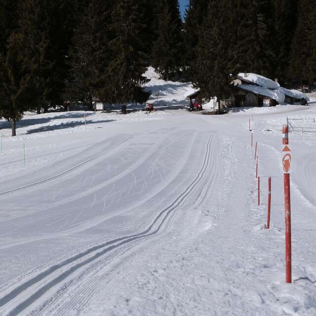 Stage de ski de fond classique - skating