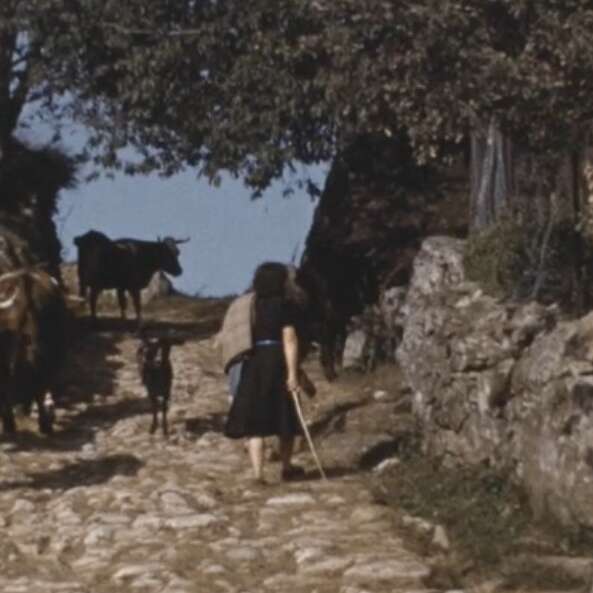 Projection de film sur l'Estive et les Hautes-chaumes