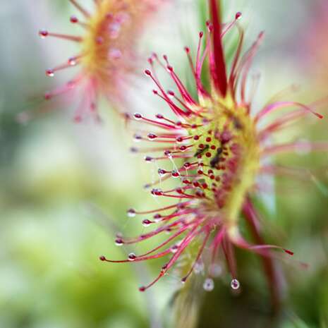 Un sanctuaire de biodiversité