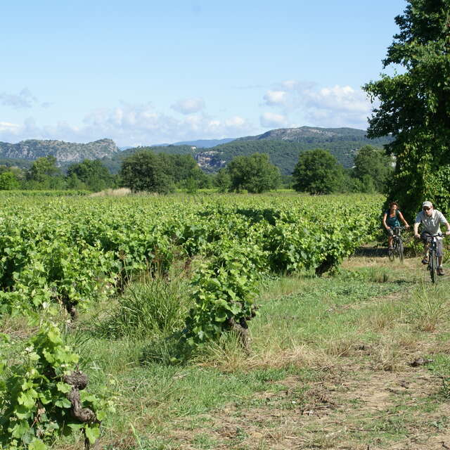 Cyclo - Entre Piémont et Cévennes
