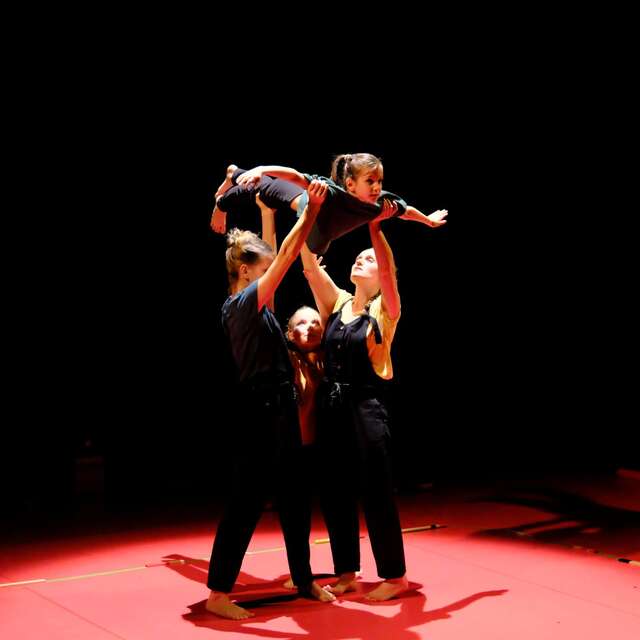 Le labyrinthe de l'oie