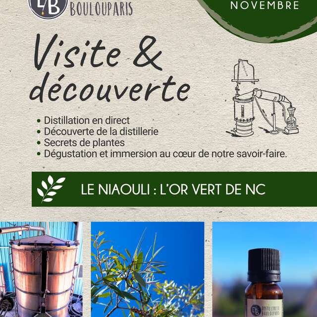 Visite et découverte - Distillerie de Boulouparis