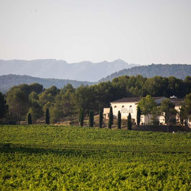 Château Paradis