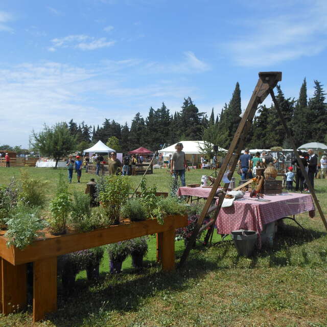 Nature en fête