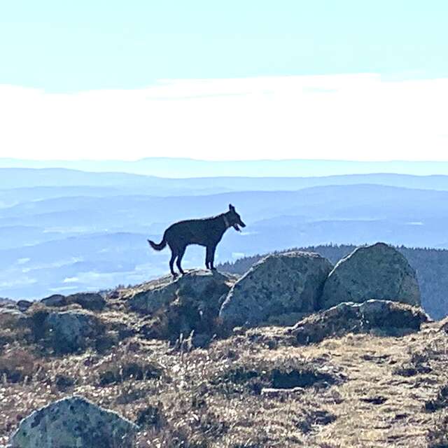 Les chambres de la Closerie