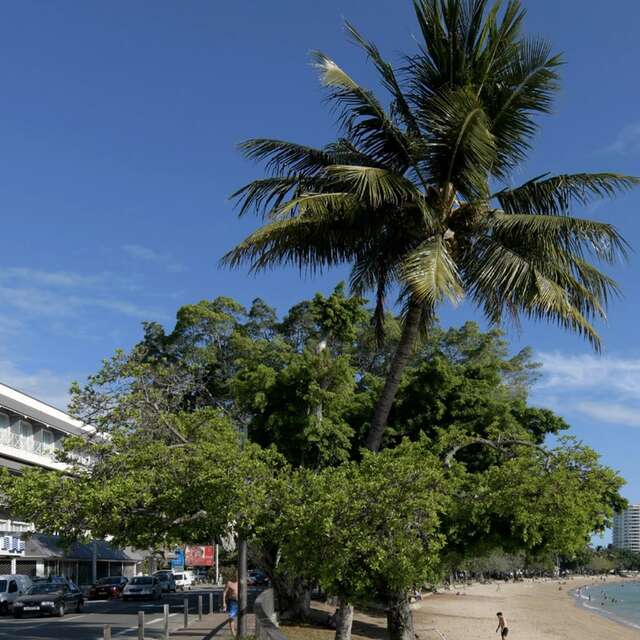 Océan House Nouméa