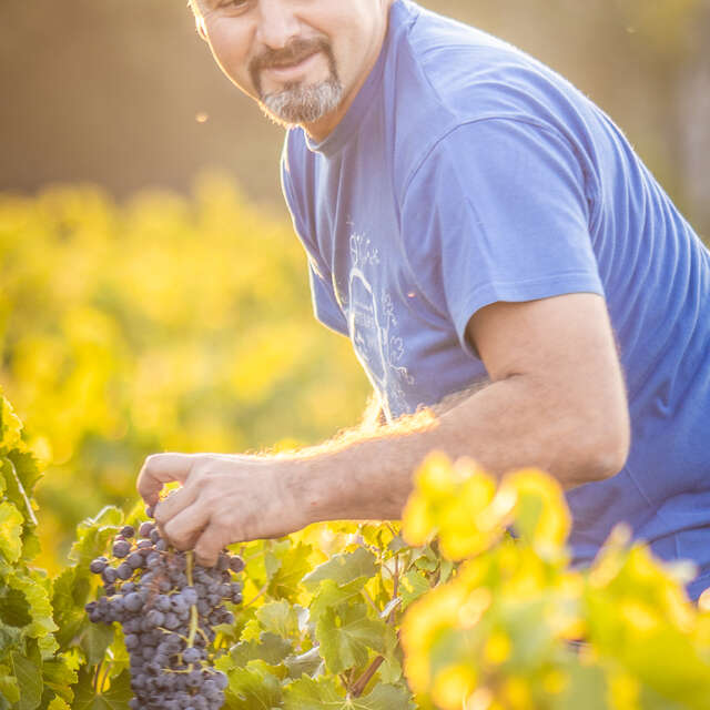 Domaine Boisson