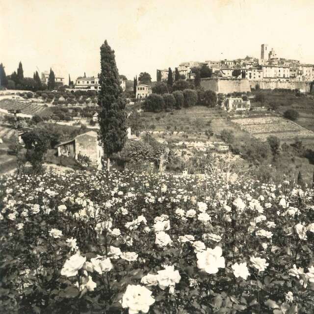 Past & present around the vine and the perfume flower