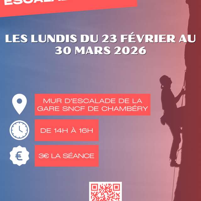 Sport inclusion - Cycle 4 : Escalade santé