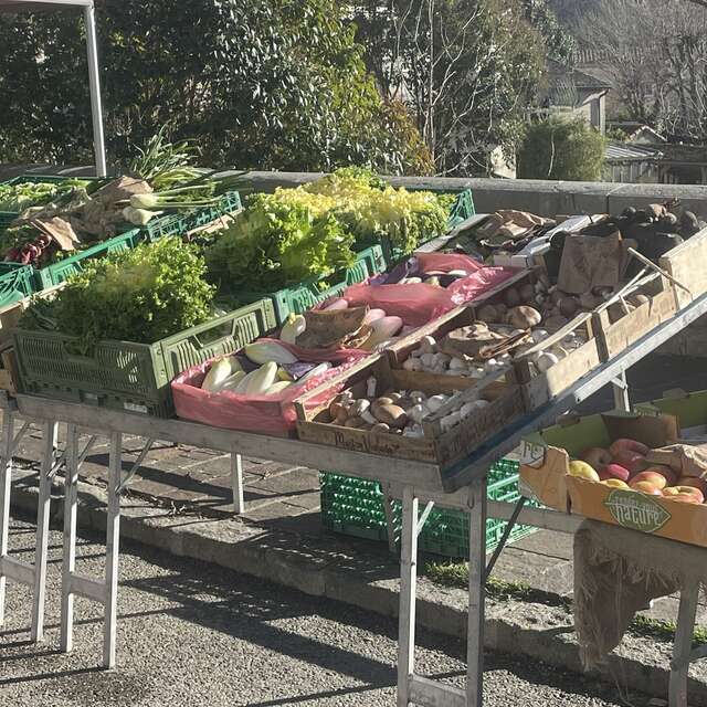 Les Marchés de Boisset-Gaujac