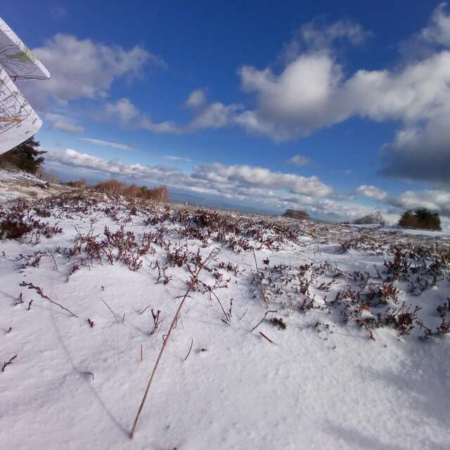 Initiation à l'orientation