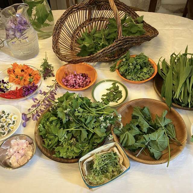 Atelier de cuisine et balade botanique avec les Aventurières du Goût