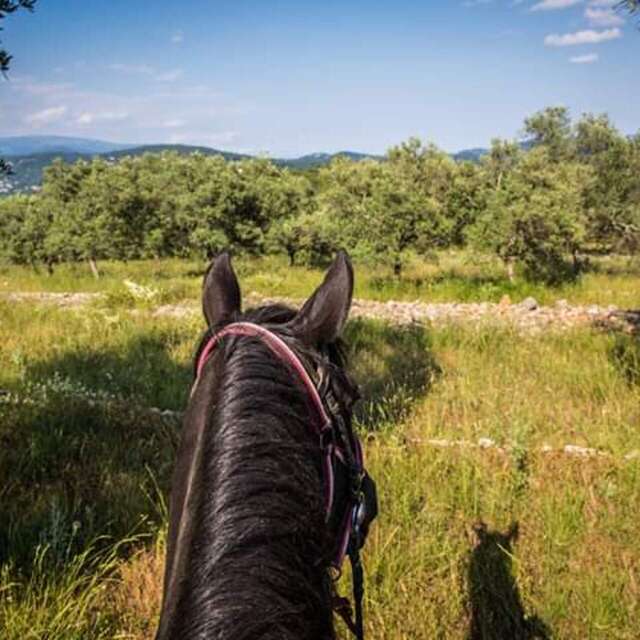 Haras des Villards: Balade demi-journée "Vue mer et montagne"