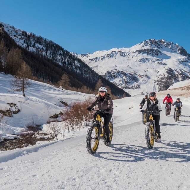 Ecole VTTAE / E-Bike - Wattsup Fat Bike
