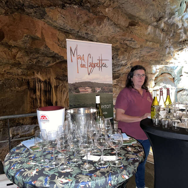 Dégustation souterraine - Vignoble en scène