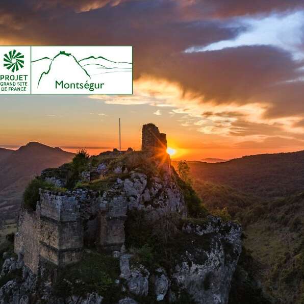 Un château, du calcaire et des fossiles
