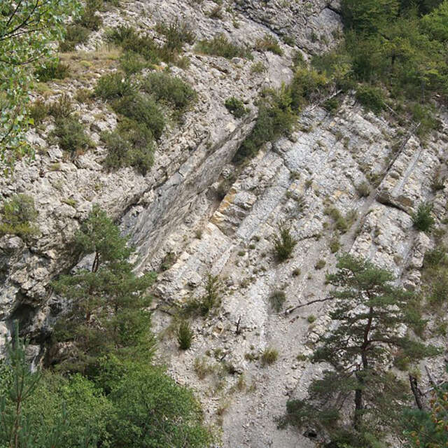 Le bassin tertiaire de Saint-Antonin, au nord de la vallée de l’Estéron