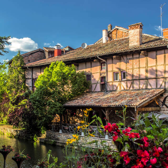 From the medieval town to the Arboretum in Châtillon-sur-Chalaronne