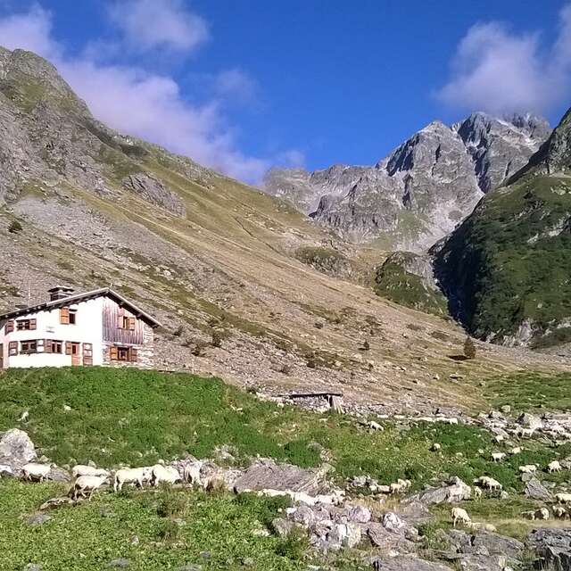 Combe Madame mountain pasture gîte
