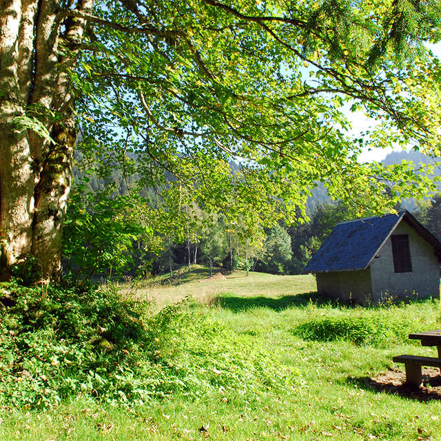 Randonnée Vaulnaveys-le-Haut - Lac Luitel