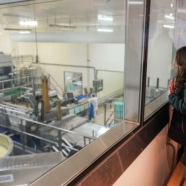 Société fromagère de Saint-Bonnet - visite guidée