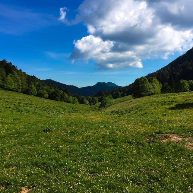 Hiking in Bugey: Crêtes de Sur Lyand