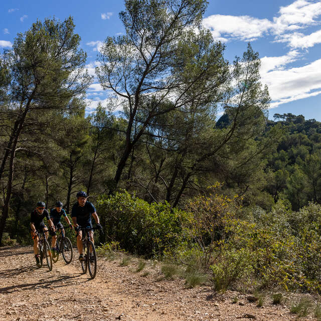 Gravel sous la Sainte-Baume