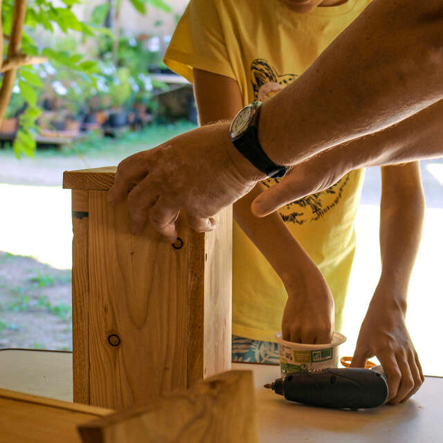 Un nichoir pour les oiseaux