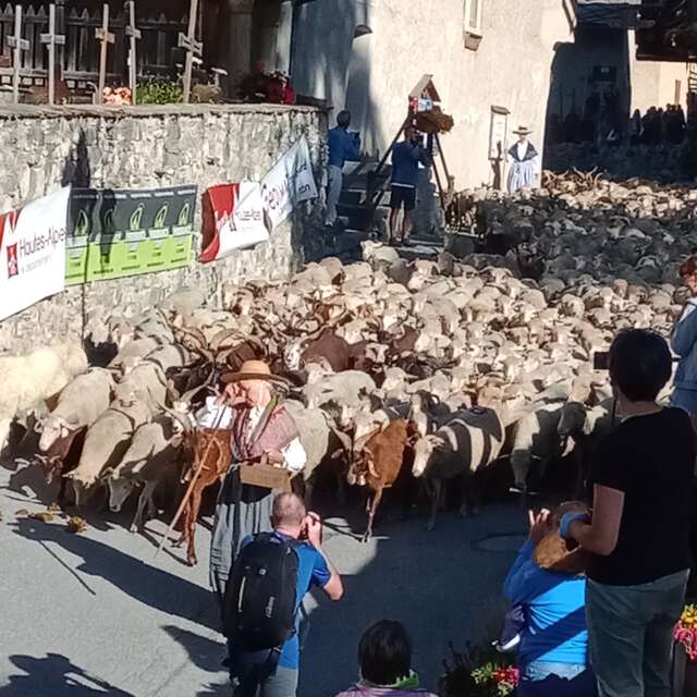 Fête des traditions