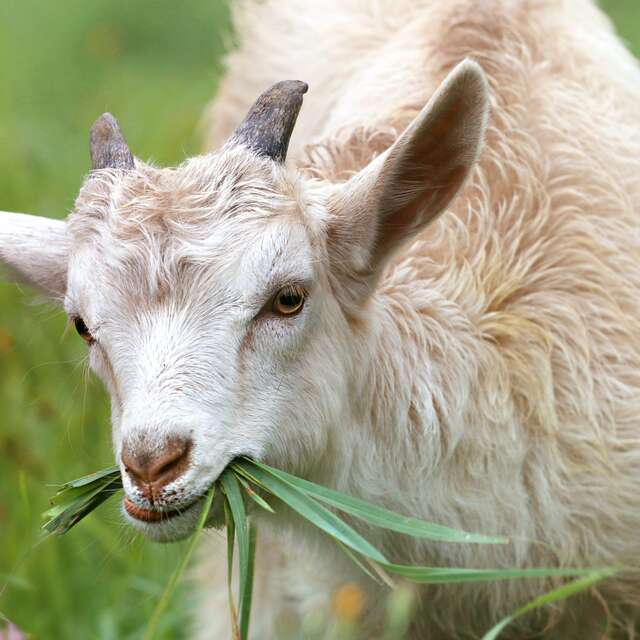 Rando gourmande