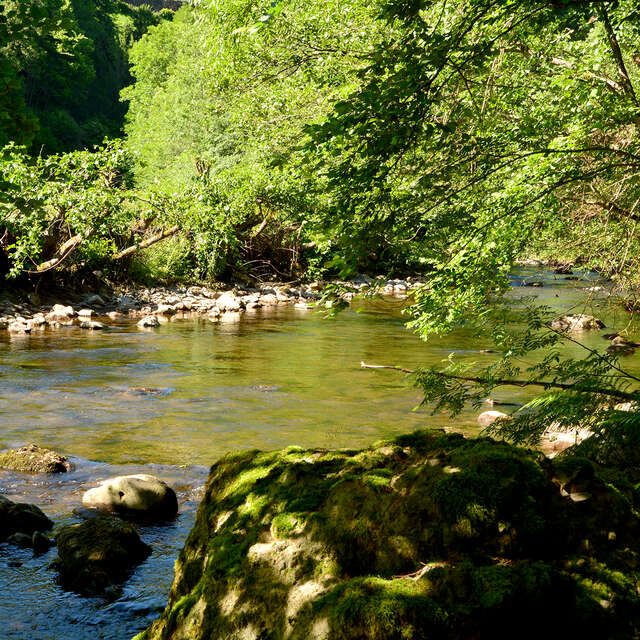 La Flandonnière