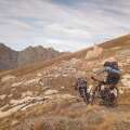 Alligatti biking