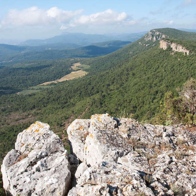 Randonnée d'observation de la nature au sommet des Barres de Cuers