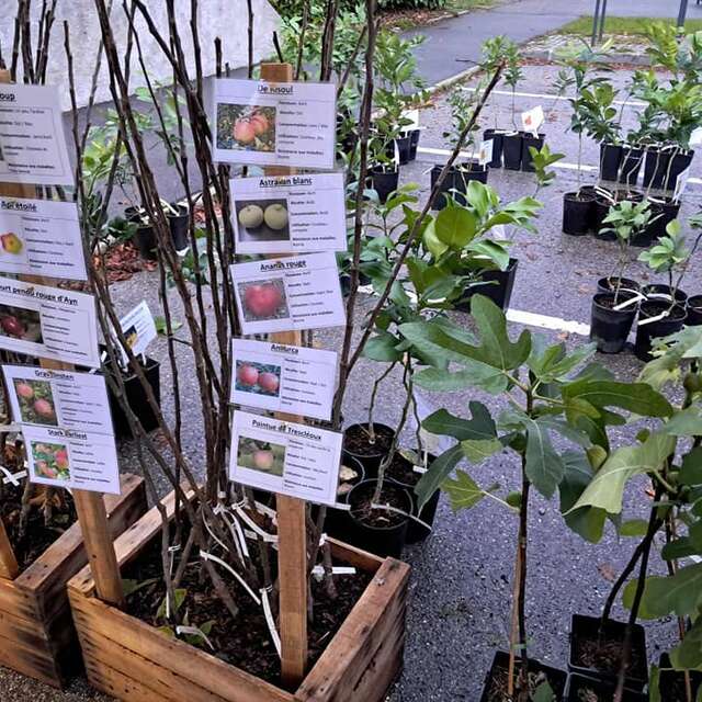 Les Pieds dans le Local®, spécial producteurs ! Visite d'exploitation : Pépinière Pep'Ain