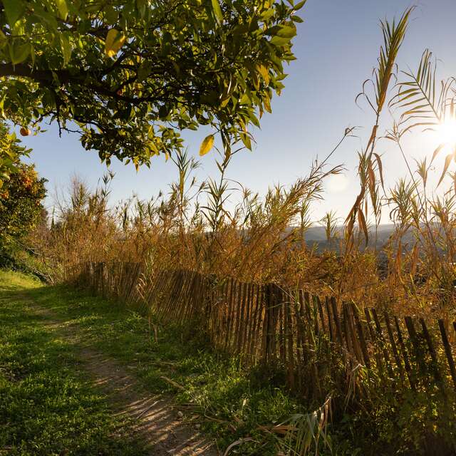 NATURE WALK
