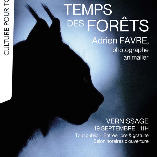 Photo Exhibition: The Time of the Forests