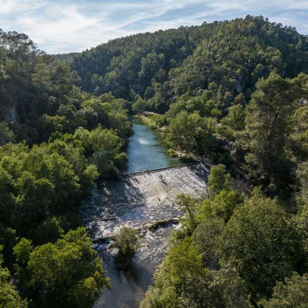 Explorez les facettes du Vallon Sourn (à partir de 5 ans) | Le Var, la Semaine Nature