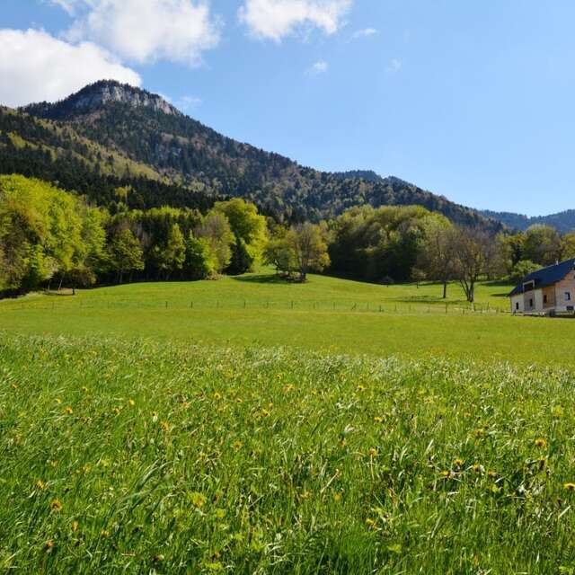 Etoile Boréale
