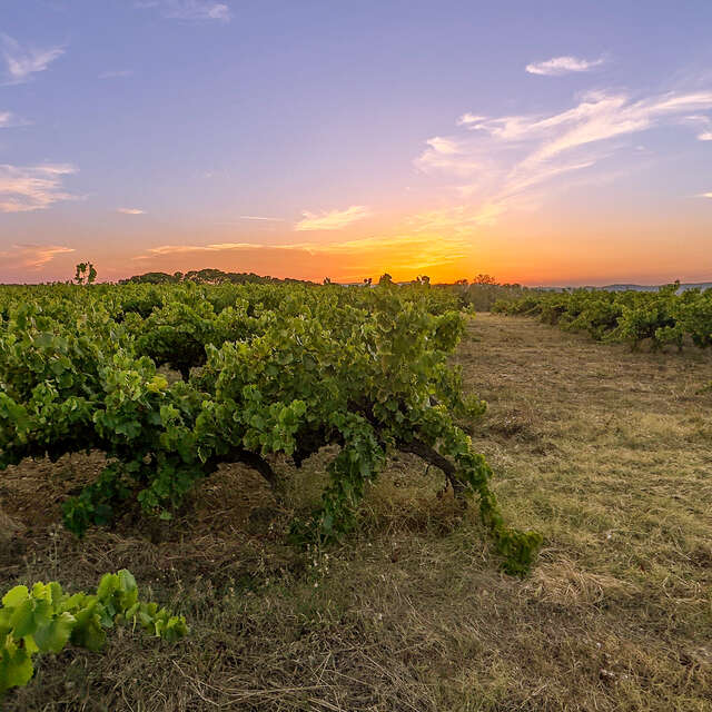 Domaine des Arnasseaux
