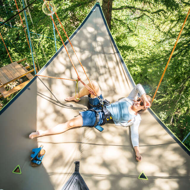 Les Arborigènes , espaces d'immersion dans les arbres