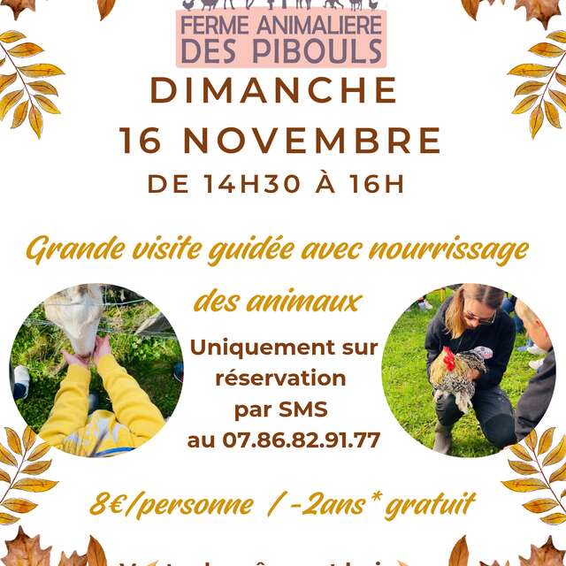 Extensive guided tour of the Pibouls animal farm
