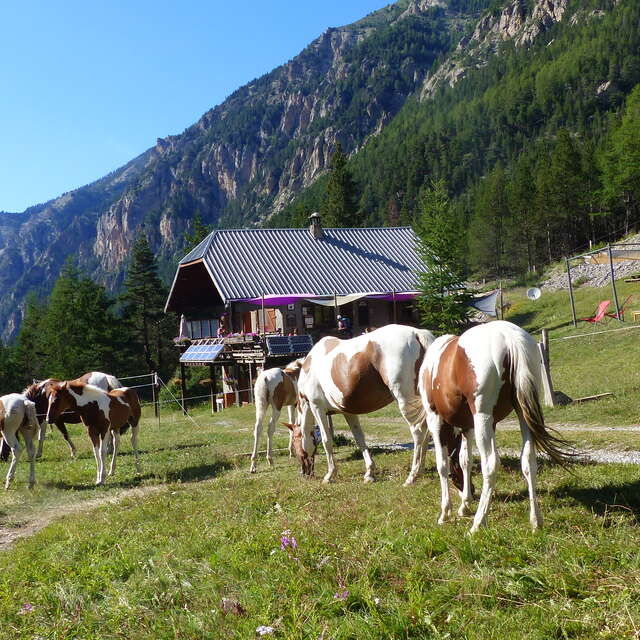 Le Refuge de Basse Rua
