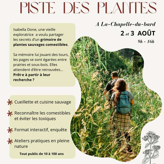 sur la piste des plantes - stage immersif