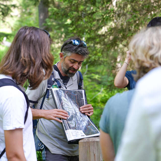 Visite guidée du sentier des Arpelières - animaux des tourbières