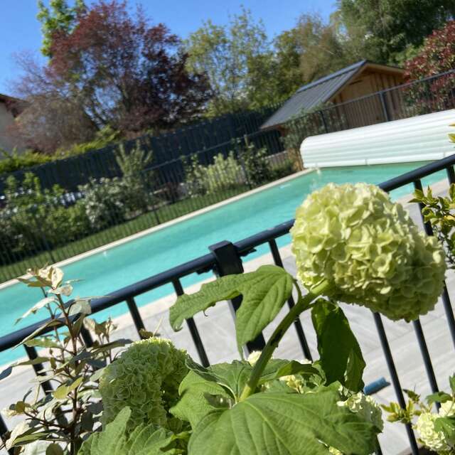 Une Pause au Vert - T2